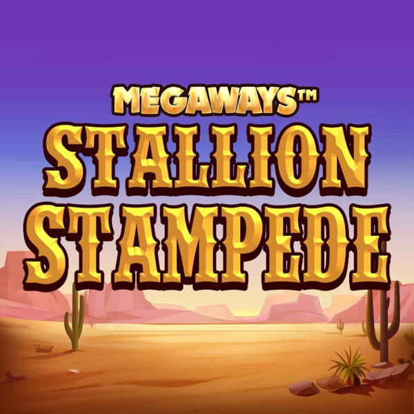 stallion stampede